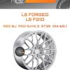 Диски LS Forged LS FG10 | Каталог Wheelsnheels.ru