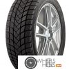 Шины Delinte Winter WD6 | Каталог Wheelsnheels.ru