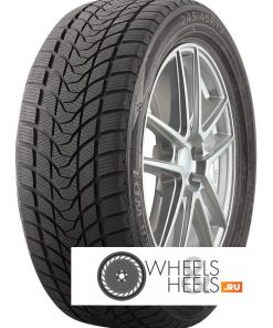 Шины Delinte Winter WD1 | Каталог Wheelsnheels.ru